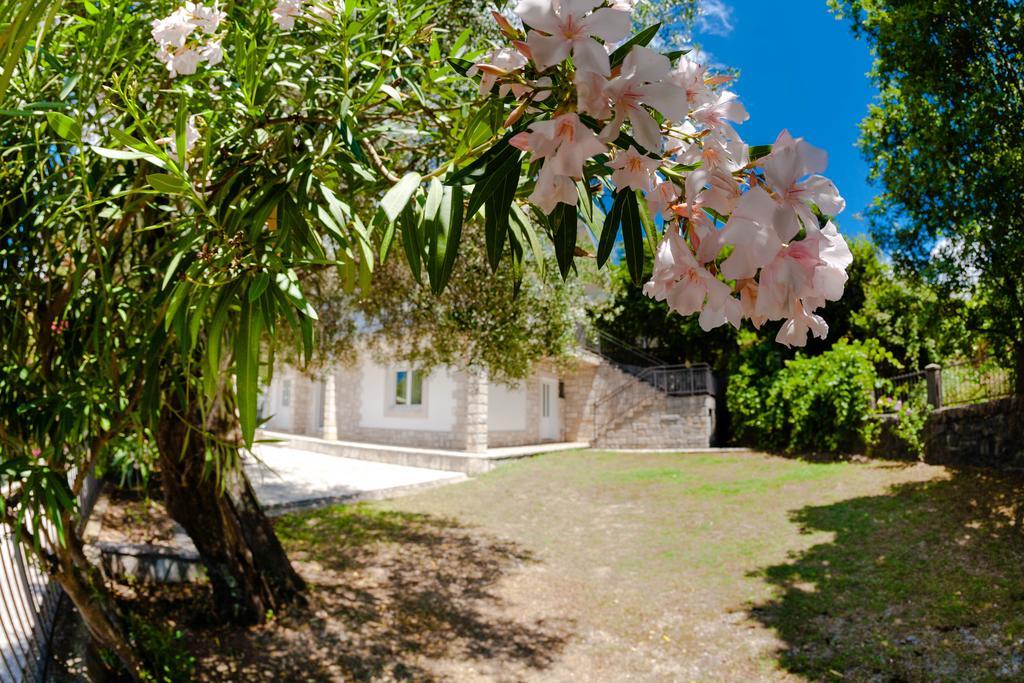 Olive Tree Villa Херцег-Нови Экстерьер фото