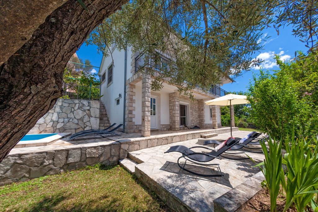 Olive Tree Villa Херцег-Нови Экстерьер фото